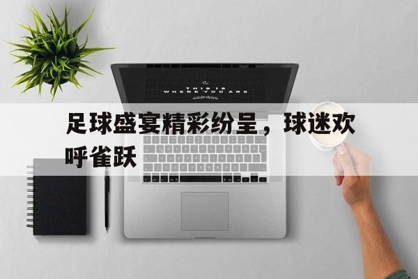 足球盛宴精彩纷呈，球迷欢呼雀跃的简单介绍